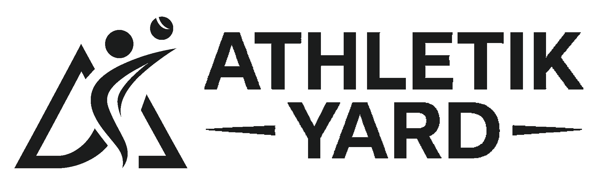 AY Logo Landscape black