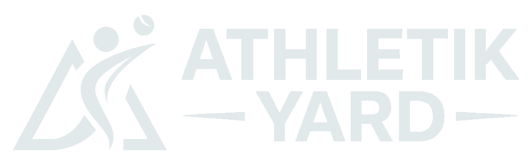 AY Logo Landscape off white